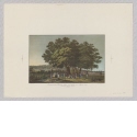 Abendansicht des Eidgenössischen Übungslagers bei Wohlen im August 1820