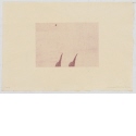 Ohne Titel [Zwei Vogelköpfe], Blatt der Serie "An installation, a migration"