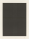 Ohne Titel [Vertikaler Streifen in schwarzem Bildfeld], Blatt aus "Diomedea"