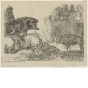 Schweine in der Landschaft, Blatt 7 der Folge "Landschaft mit Tieren"