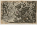 Herkules tötet den Drachen Ladon