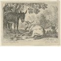 Eselherde, Blatt 3 der Folge "Landschaft mit Tieren"