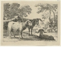Widder in der Landschaft, Blatt 4 der Folge "Landschaft mit Tieren"