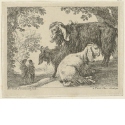 Angoraschafe in der Landschaft, Blatt 6 der Folge "Landschaft mit Tieren"